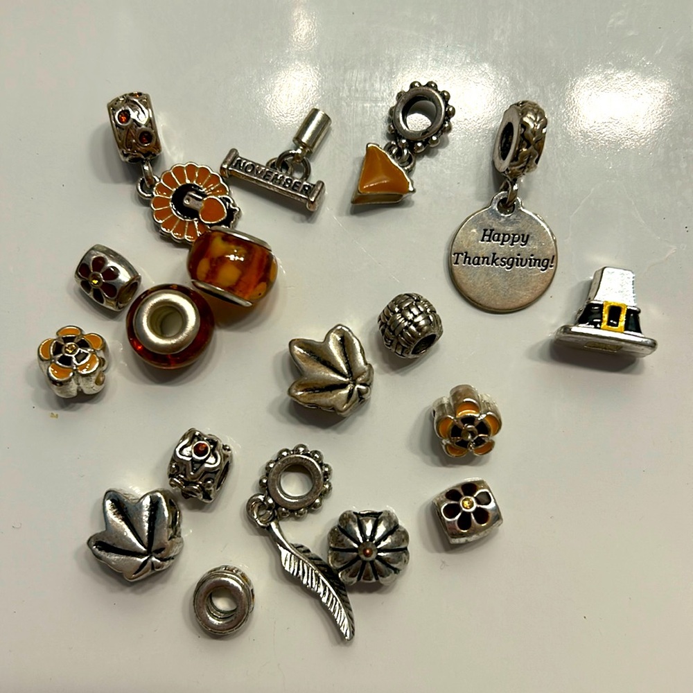 Handful of Fall/ThanksgivingBracelet Charms